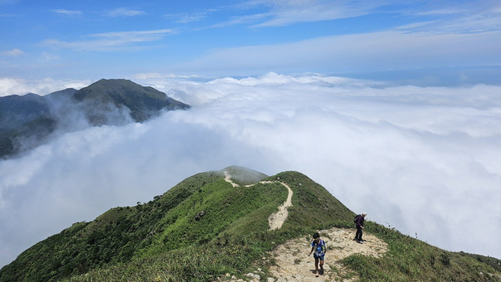 毅行者訓練團隊 挑戰大東山和鳳凰山 - 20250601